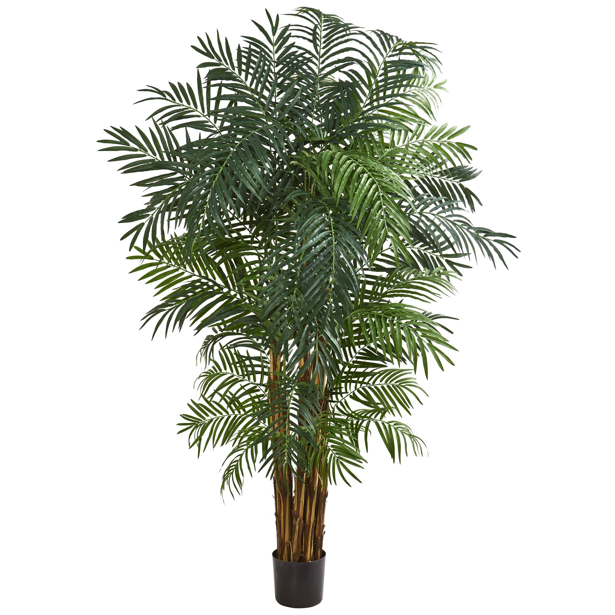 7ft. Potted Areca Palm Tree